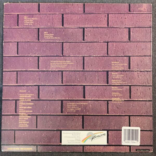 Leslie Drayton & Fun – What It Is Is What It Is (LP, 1986) - Image 2