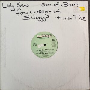 Lady Saw & Marsha – Son Of A Bitch (12", 2000)