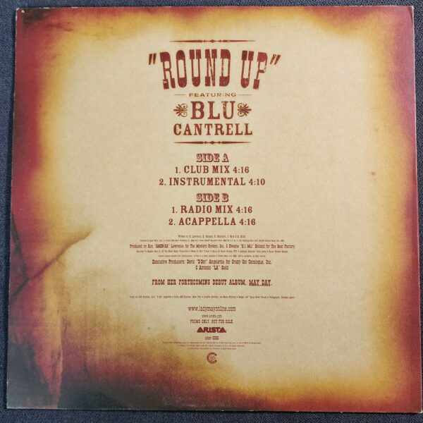 Lady May Featuring Blu Cantrell – Round Up (12", 2002) - Image 2