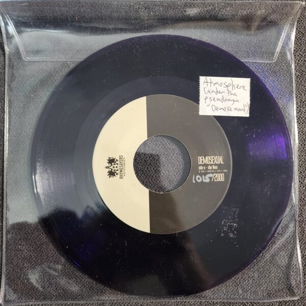 Demosexual – She Likes (7", 2013)